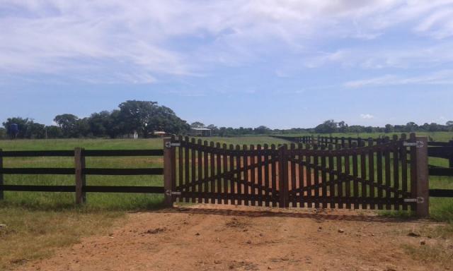 8271 | fazenda à venda em poconé mt - Foto 3