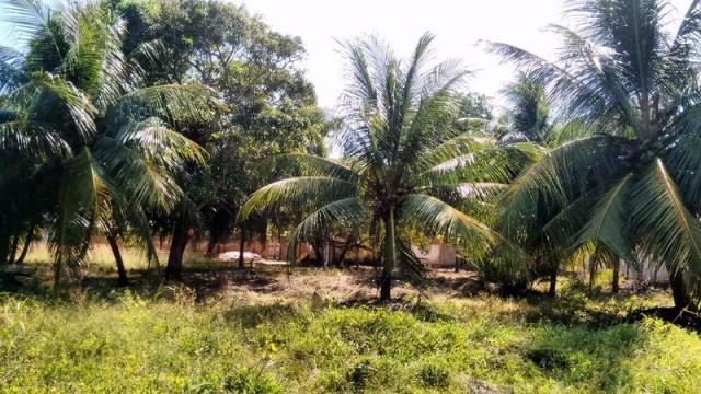 Terreno à venda em Muriú, Ceará-mirim cod:811175 - Foto 2