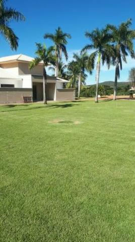 4342 Hect Em Barra Do Garça podendo virar soja.(Fazenda modelo difeênciada) - Foto 4