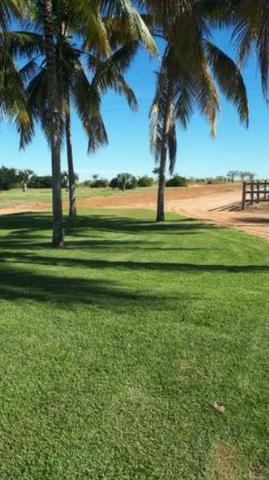 4342 Hect Em Barra Do Garça podendo virar soja.(Fazenda modelo difeênciada) - Foto 14