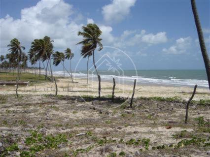 Terreno à venda em Muriú, Ceará-mirim cod:736654 - Foto 2