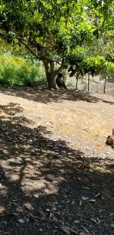 Terreno em Ipioca - Foto 7