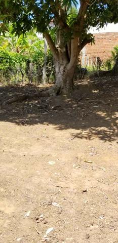 Terreno em Ipioca - Foto 5