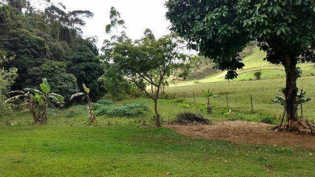 Fazenda 30 Alq. Ibiraçu/ES-Plana 60%-Linda, p/Gado etc, Muita Água - Foto 11