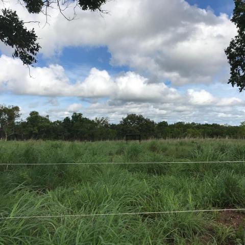 Chácara à venda em Km 21, Nossa senhora do livramento cod:CH00001 - Foto 14