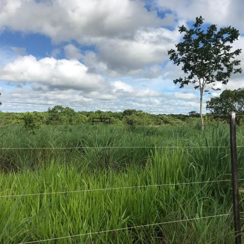 Chácara à venda em Km 21, Nossa senhora do livramento cod:CH00001 - Foto 11