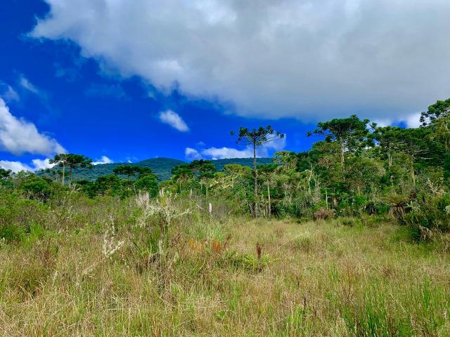 Urubici Chácaras/ sitios em Urubici/ terrenos em Urubici - Foto 6