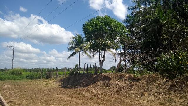 280 mil terreno com 50 x80 na Pa km 7 Castanhal- Terra Alta bom para fabrica ou galpão - Foto 10
