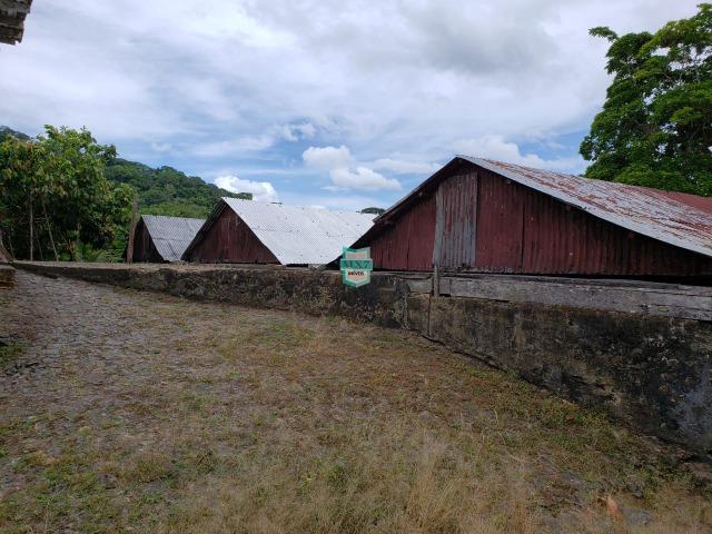 Ubaitaba. Fazenda produtiva de 139 Hectares a beira do asfalto.