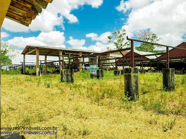 Fazenda mista de cacau e gado. Área de 203 Hectares - Foto 8