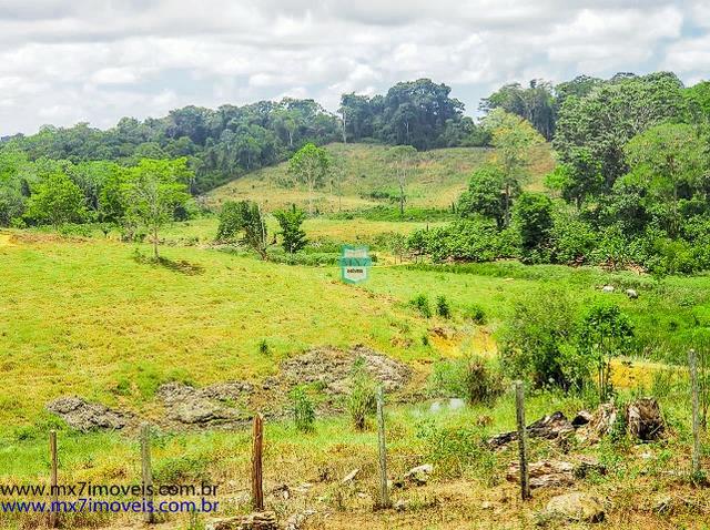 Fazenda mista de cacau e gado. Área de 203 Hectares - Foto 12