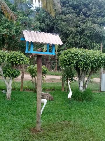 Pequena chácara em novo brasil.cariacica