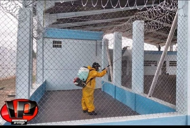 Problemas com Ratos e Baratas? - Foto 2