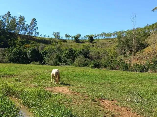 Venda-se está propriedade de 9 Alqueires no Município/ES. - Foto 2