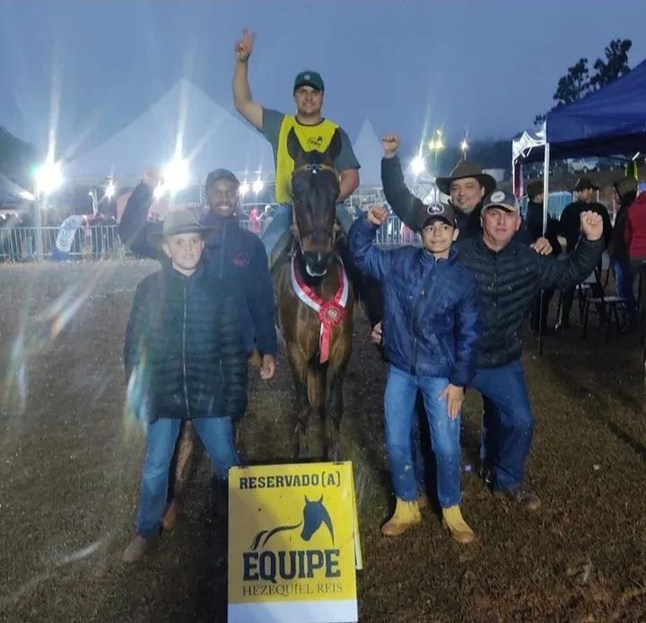 Cavalo de pista oportunidade - Foto 5