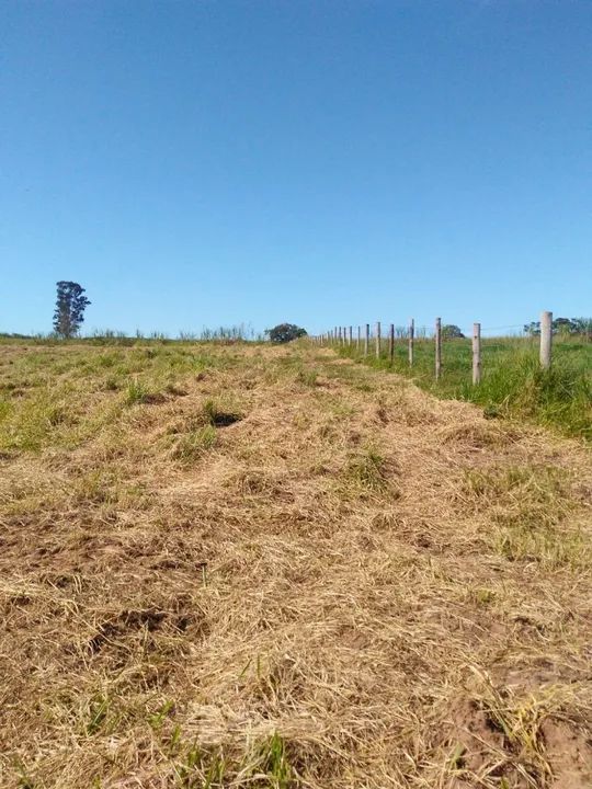 foto - Artur Nogueira - Área Rural de Artur Nogueira