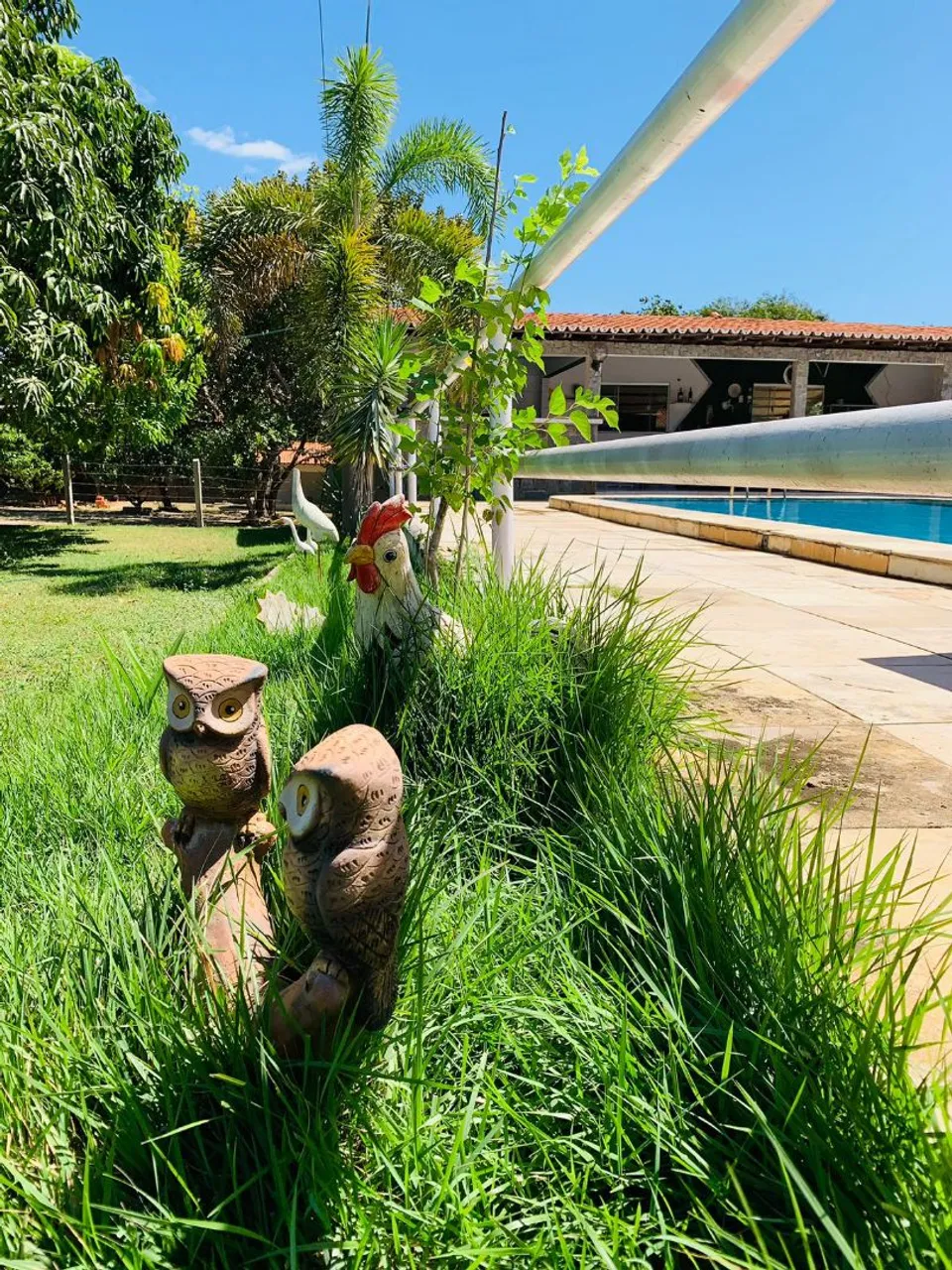 Sítio no Povoado Itaguará, a 18 km de Timon-MA, com de duas casas, piscina, medindo 2ha.