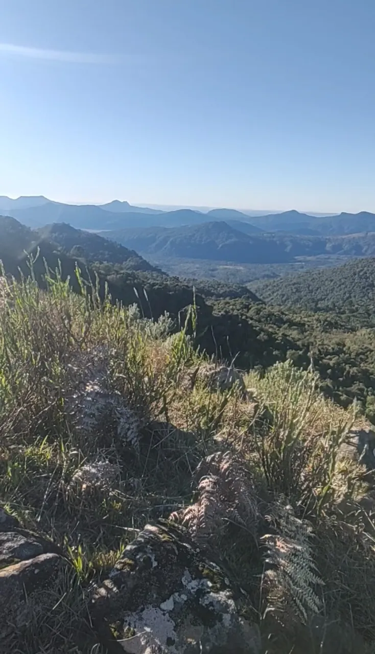 Linda fazenda à venda na região de Campo dos Padres, Urubici-SC