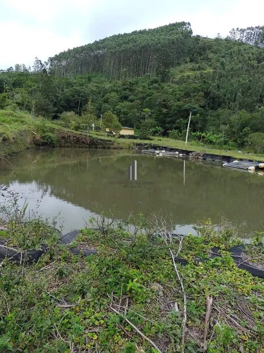 SÍTIO BAIRRO QUARESMAL EM TAPIRAÍSP. VENDA - Foto 5