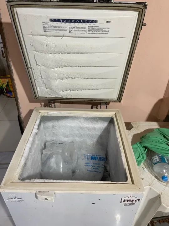 Freezer Electrolux - Foto 2