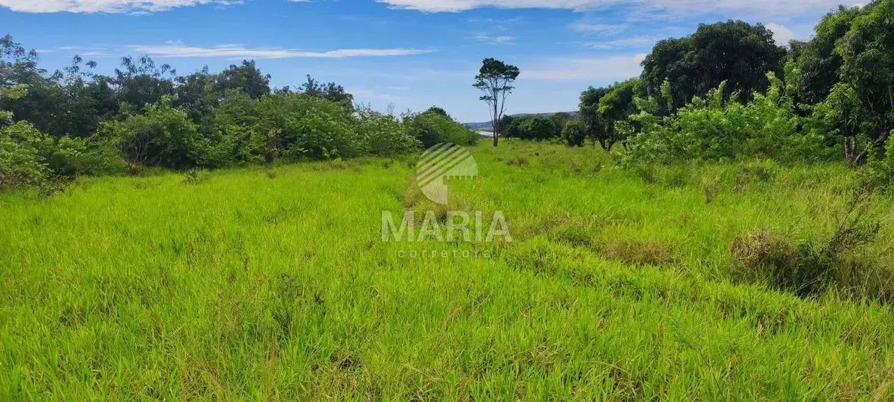 Área de 14 Hectares à venda em Chã Grande/PE! - Foto 3