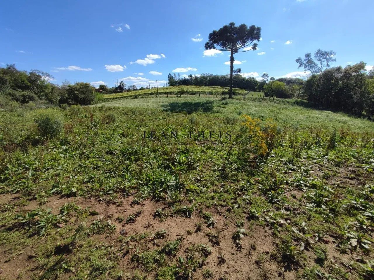 Chácara de 3 Hectares em Farroupilha