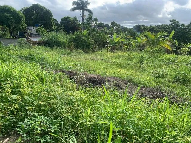 TERRENO ESTR. VELHA RIO BONITO - Foto 3