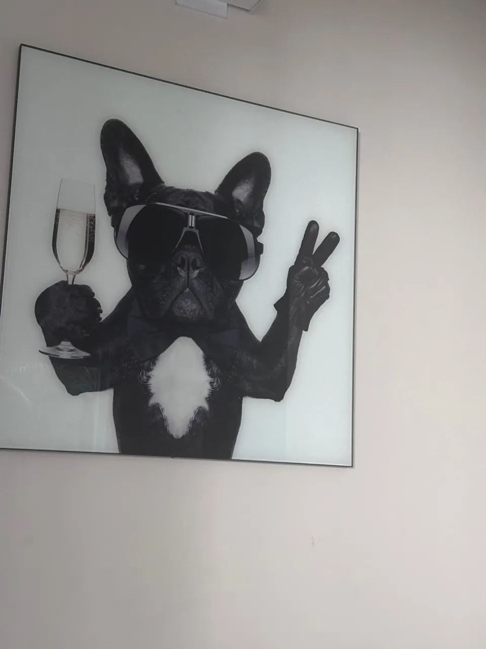 Quadro Decorativo Bulldog Francês Chique