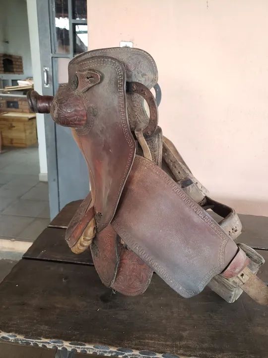 Sela americana  - Foto 4