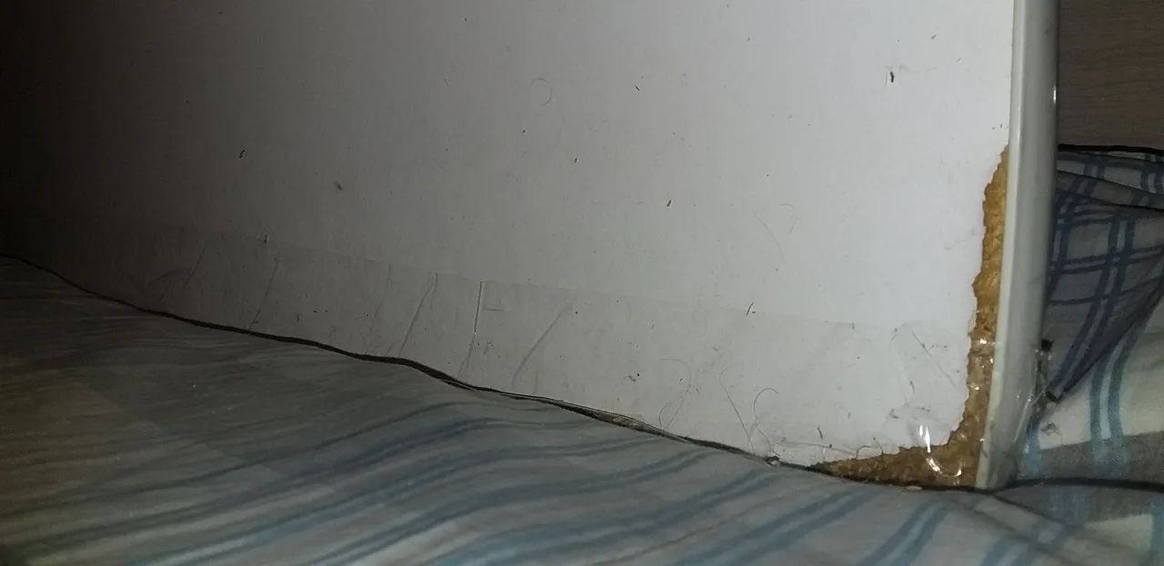 Cama de solteiro infantil - Foto 3