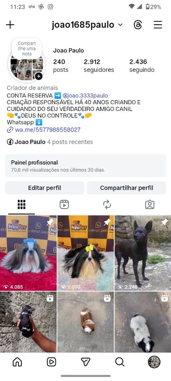 SPITZ ALEMÃO CANIL - Foto 6