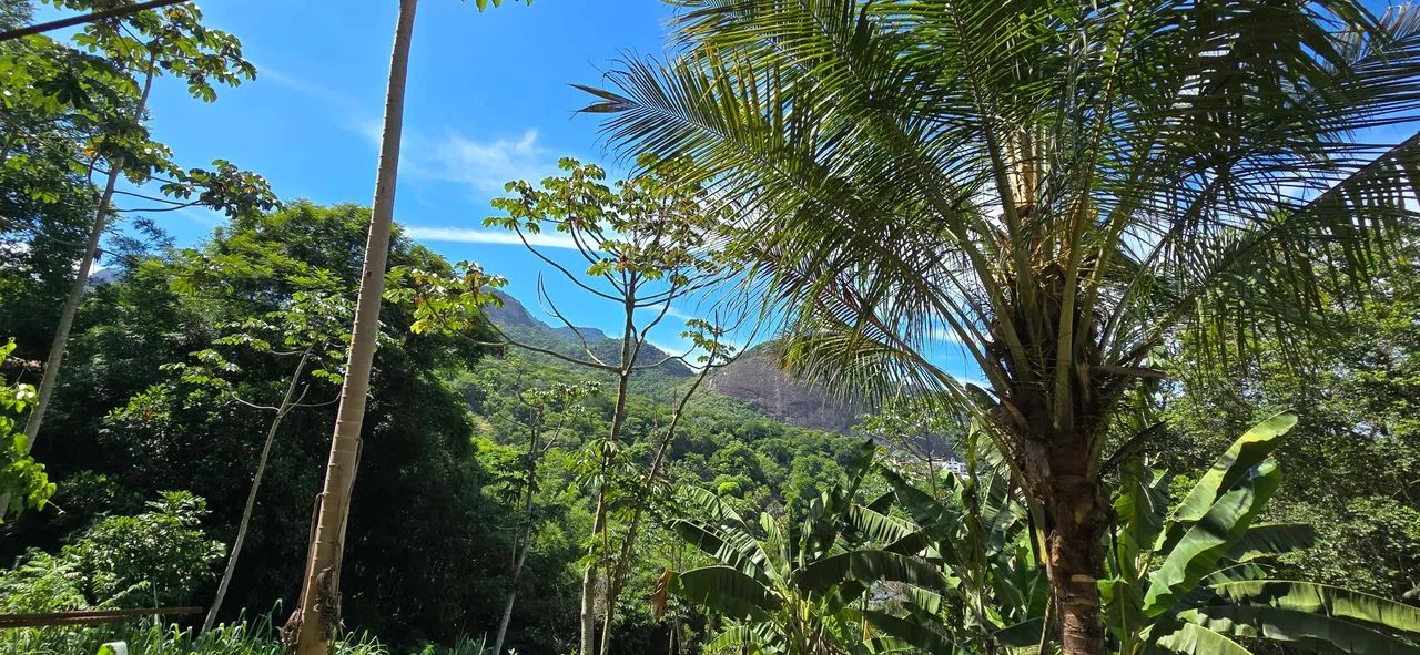 Freguesia. Terreno com 2.000m². Diversas Possibilidades. Rio de Janeiro-RJ. - Foto 4