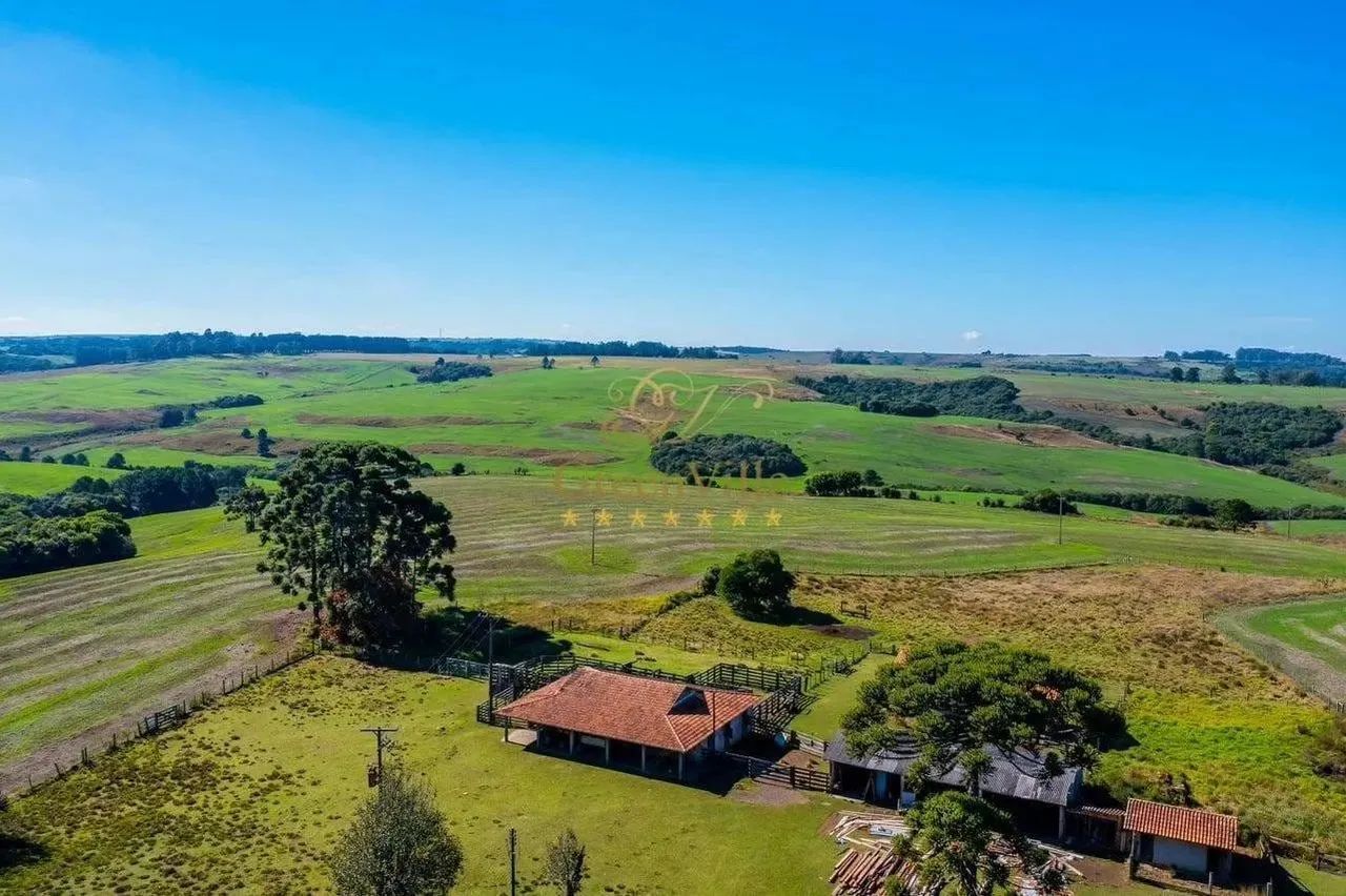 Palmeira, Fazenda à 46km Park Barigui, 100 alqueires, 242 hectares, ou 2.420.000m², dupla  - Foto 5
