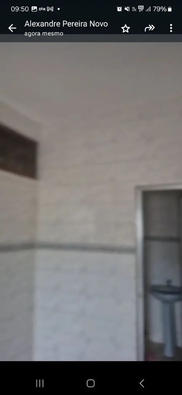 ?Sítio com piscina, loja e área de plantio - oportunidade única!?<br> - Foto 11