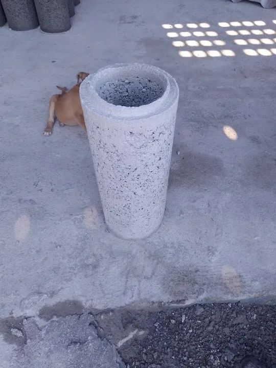 Manilhas redonda / coluna de concreto - Foto 2
