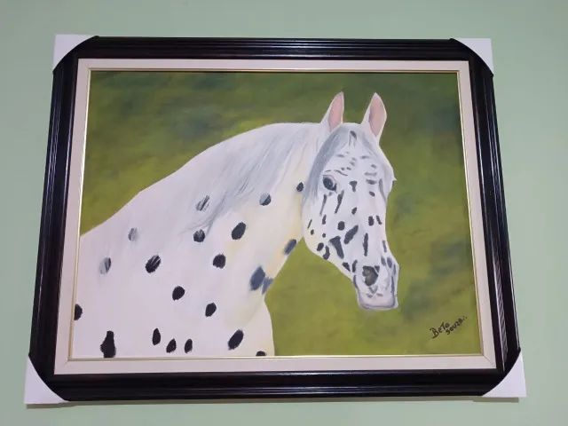 Quadro Cavalo Lollapalooza