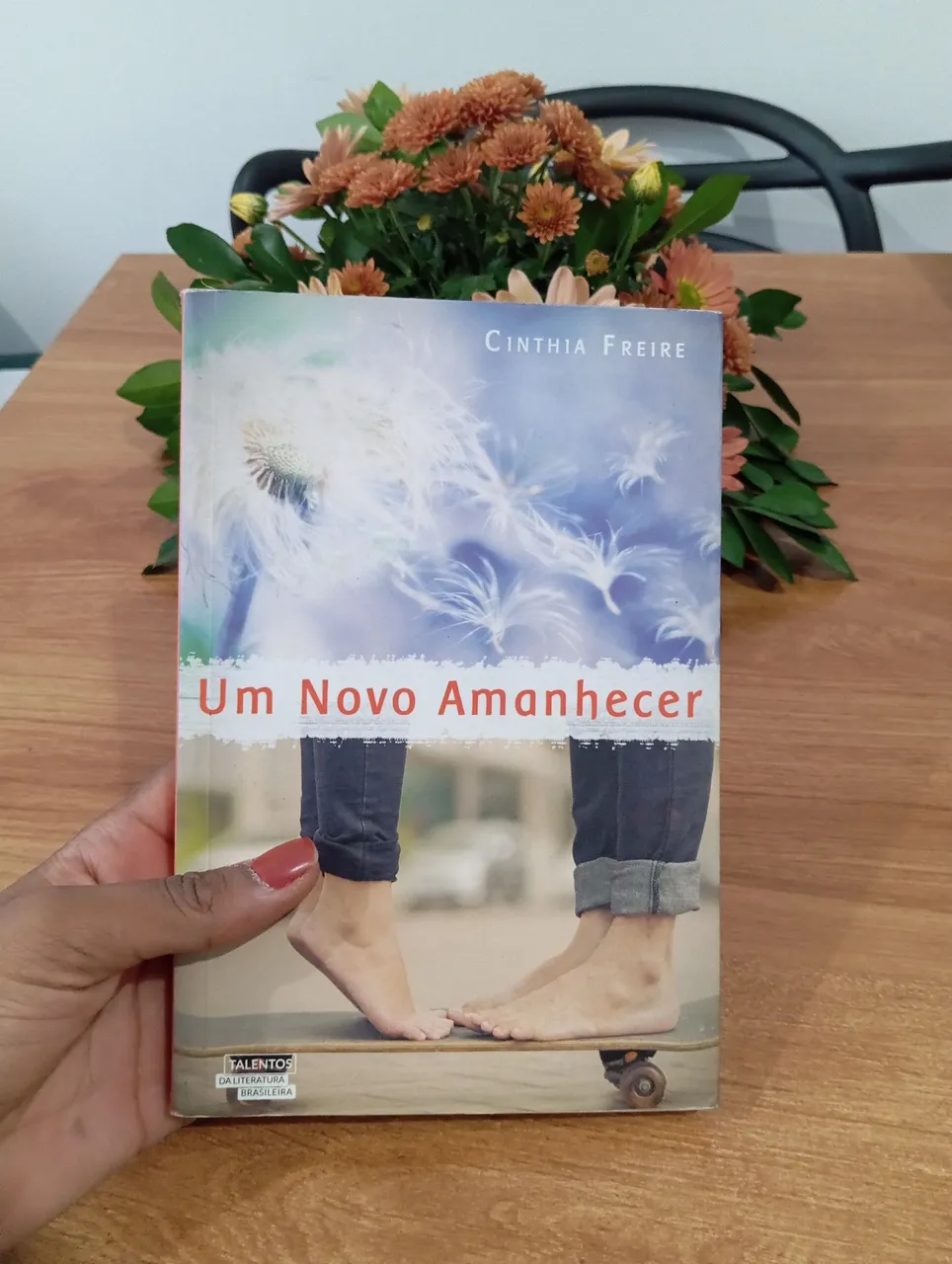Livro Um Novo Amanhecer - Cinthia Freire