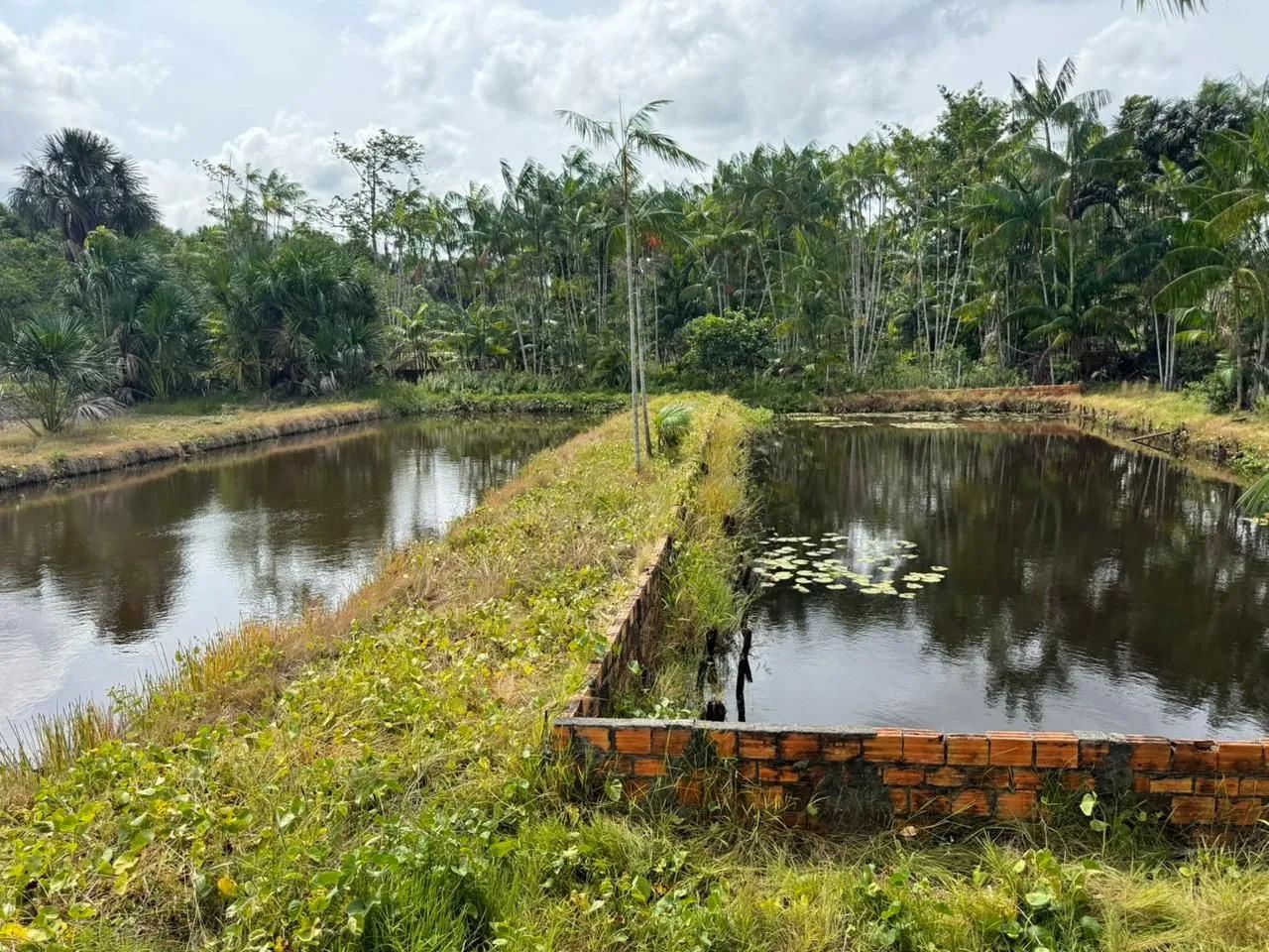 Sitio Pesque e Pague Localizado No KM 75- Aurora- Pa
