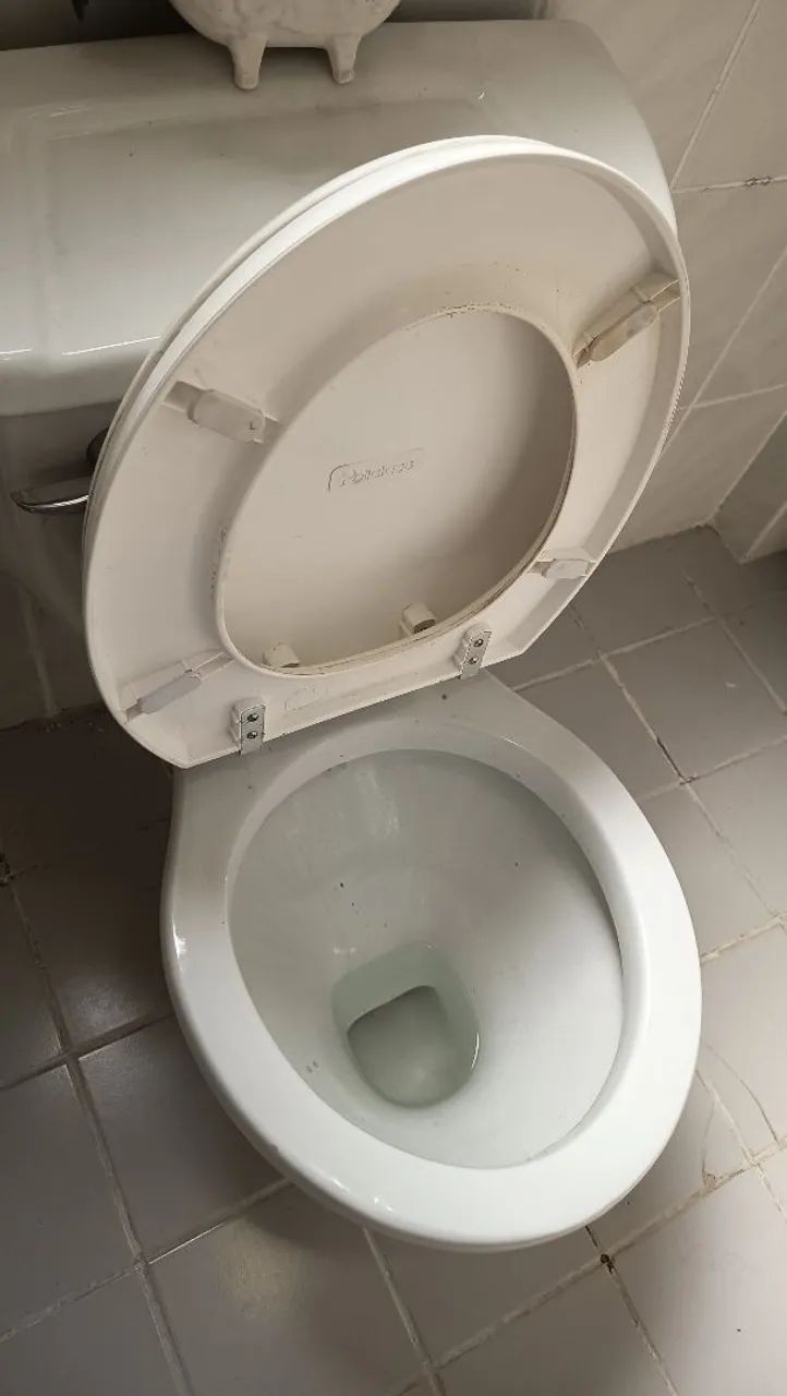 Vaso sanitário com caixa acoplada e tampa com fixação em inox  - Foto 5