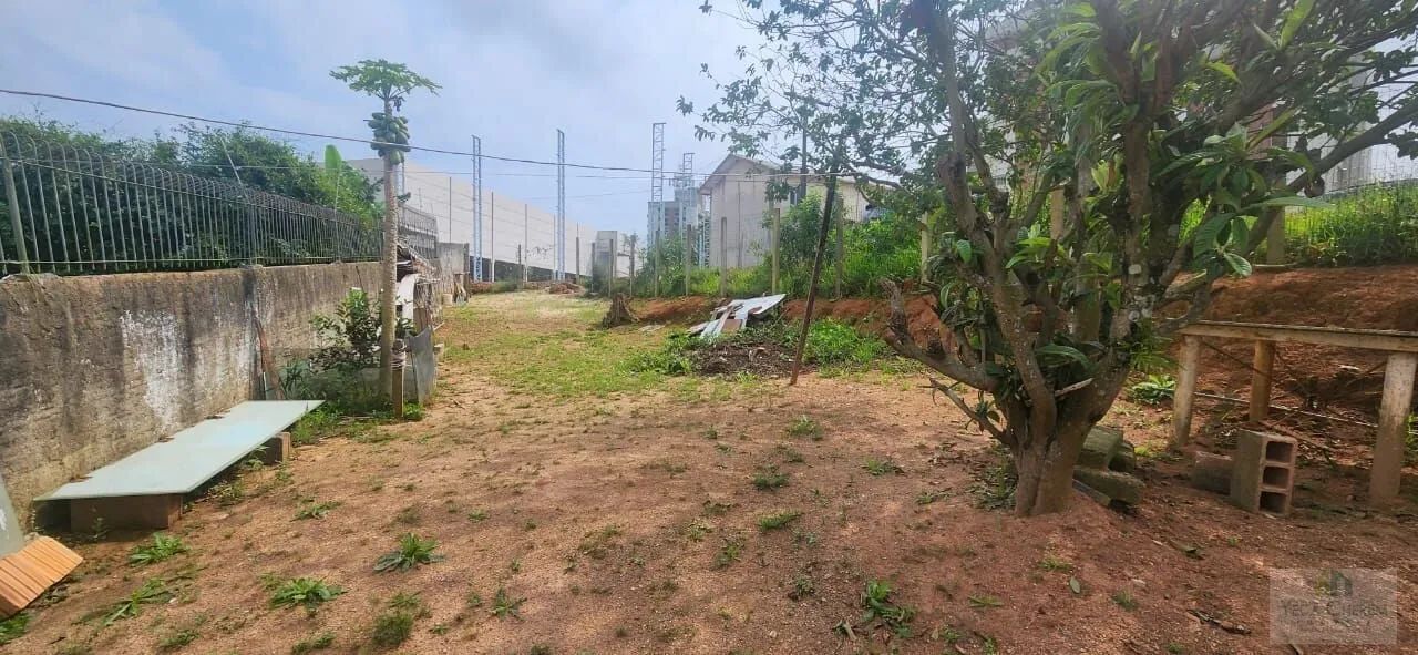 Terreno Lote - Estreito - Foto 2