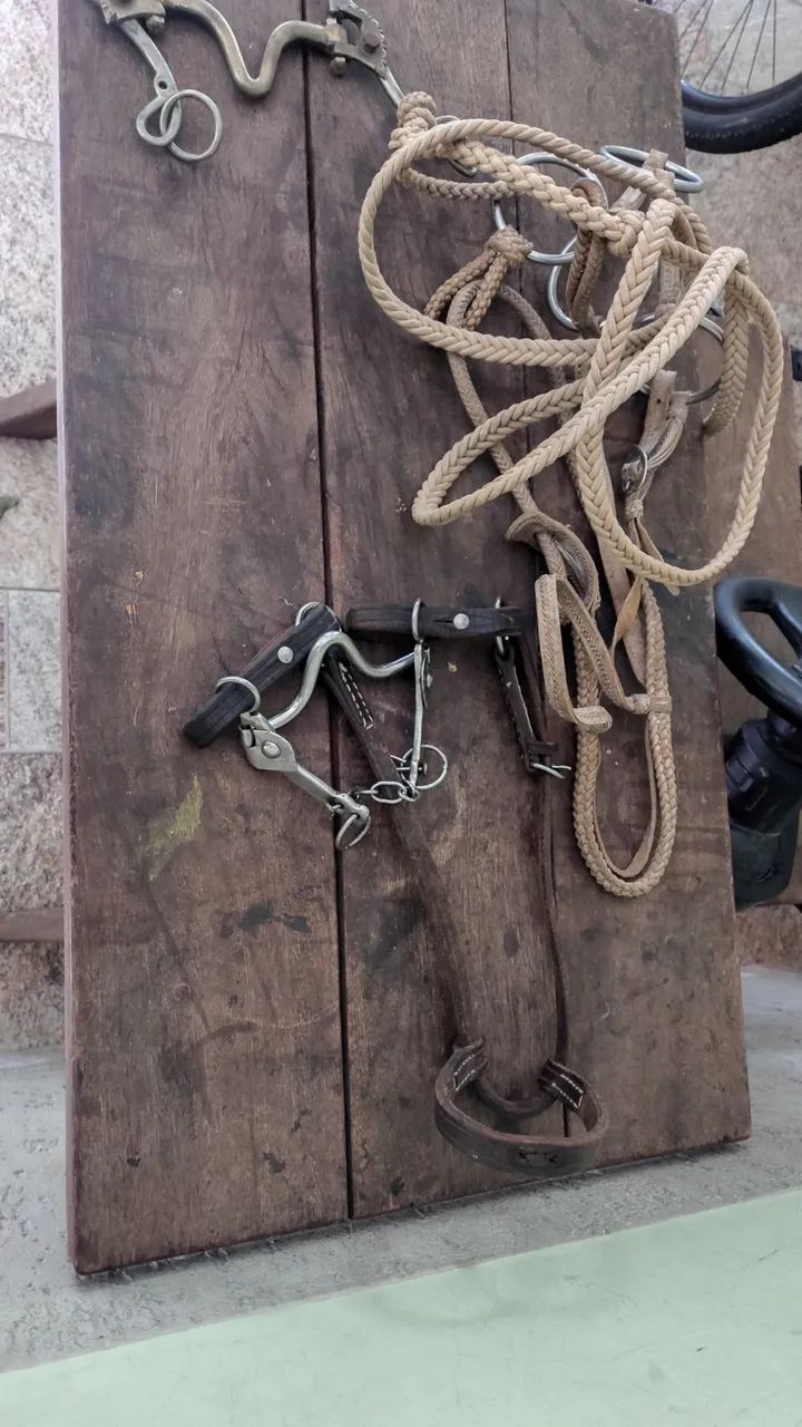 Arreios de cavalo 