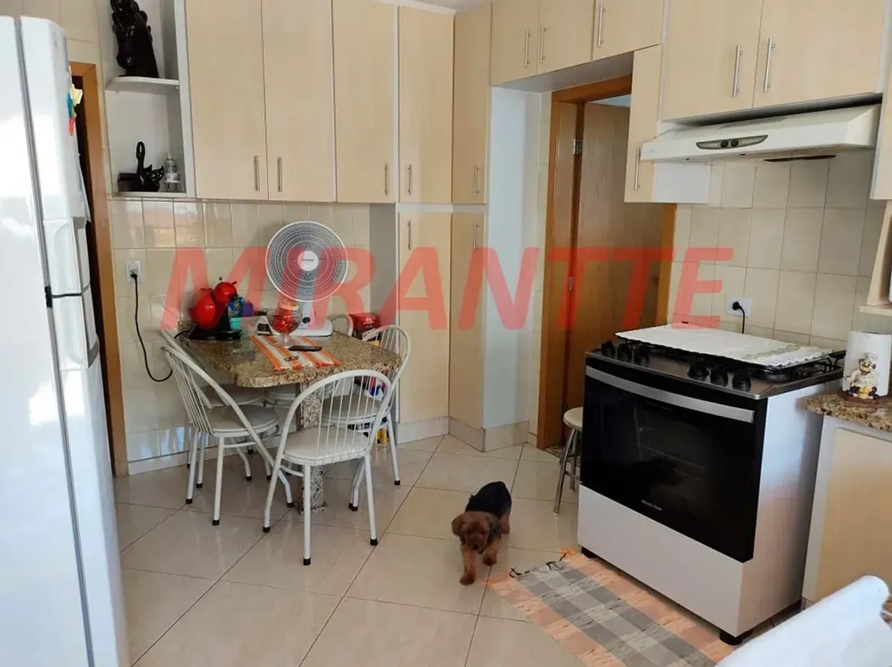 Térrea para venda com 5 quartos na Vila Nova Cachoeirinha - Foto 4