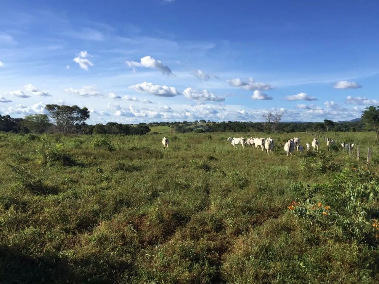 Fazenda para Venda em Miracema do Tocantins - Foto 3