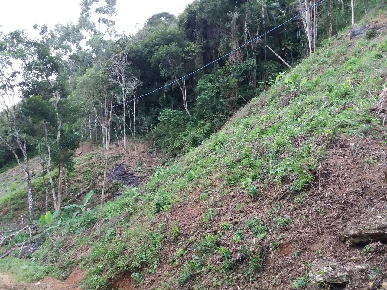 Lindo Sítio  - Foto 2
