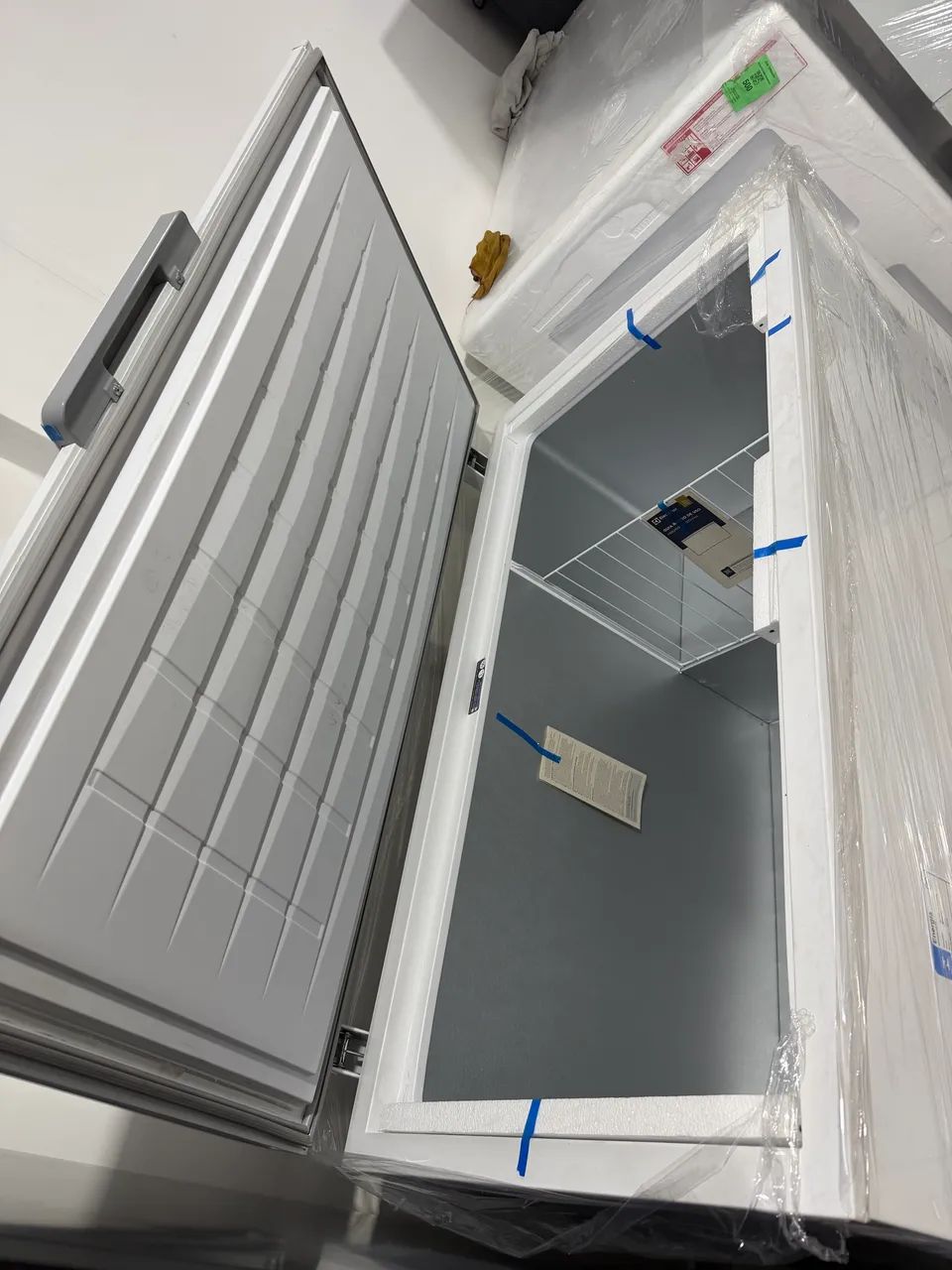 Freezer Electrolux 