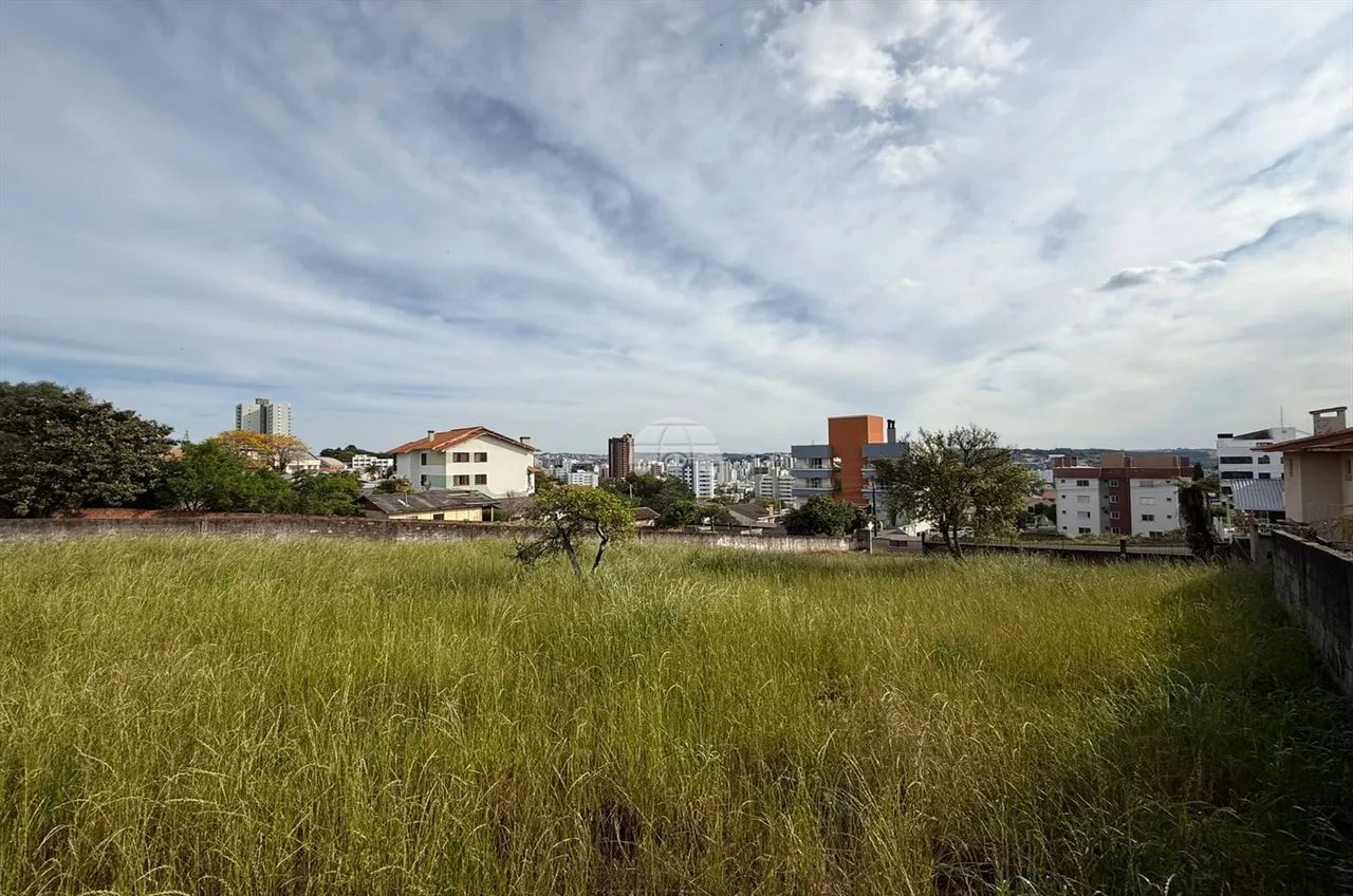 Vendas Terreno Pato Branco PR