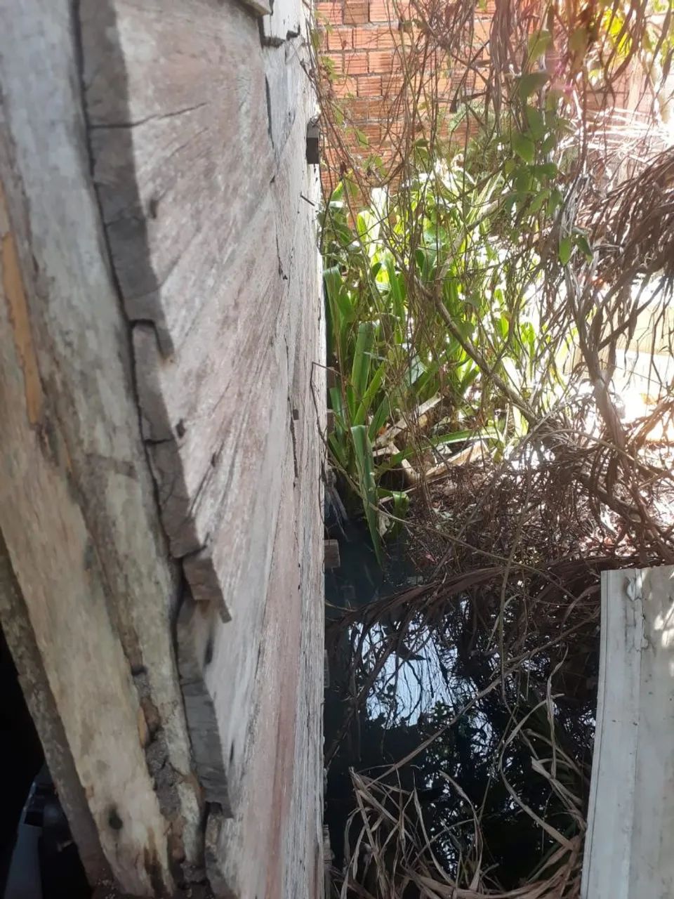 Casa no novo buritizal  - Foto 4