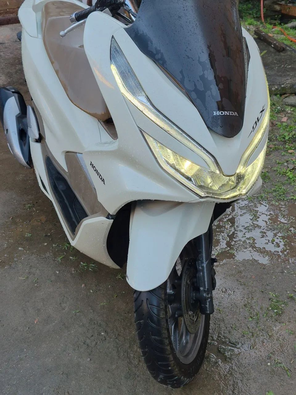 Pcx  2019 DLX