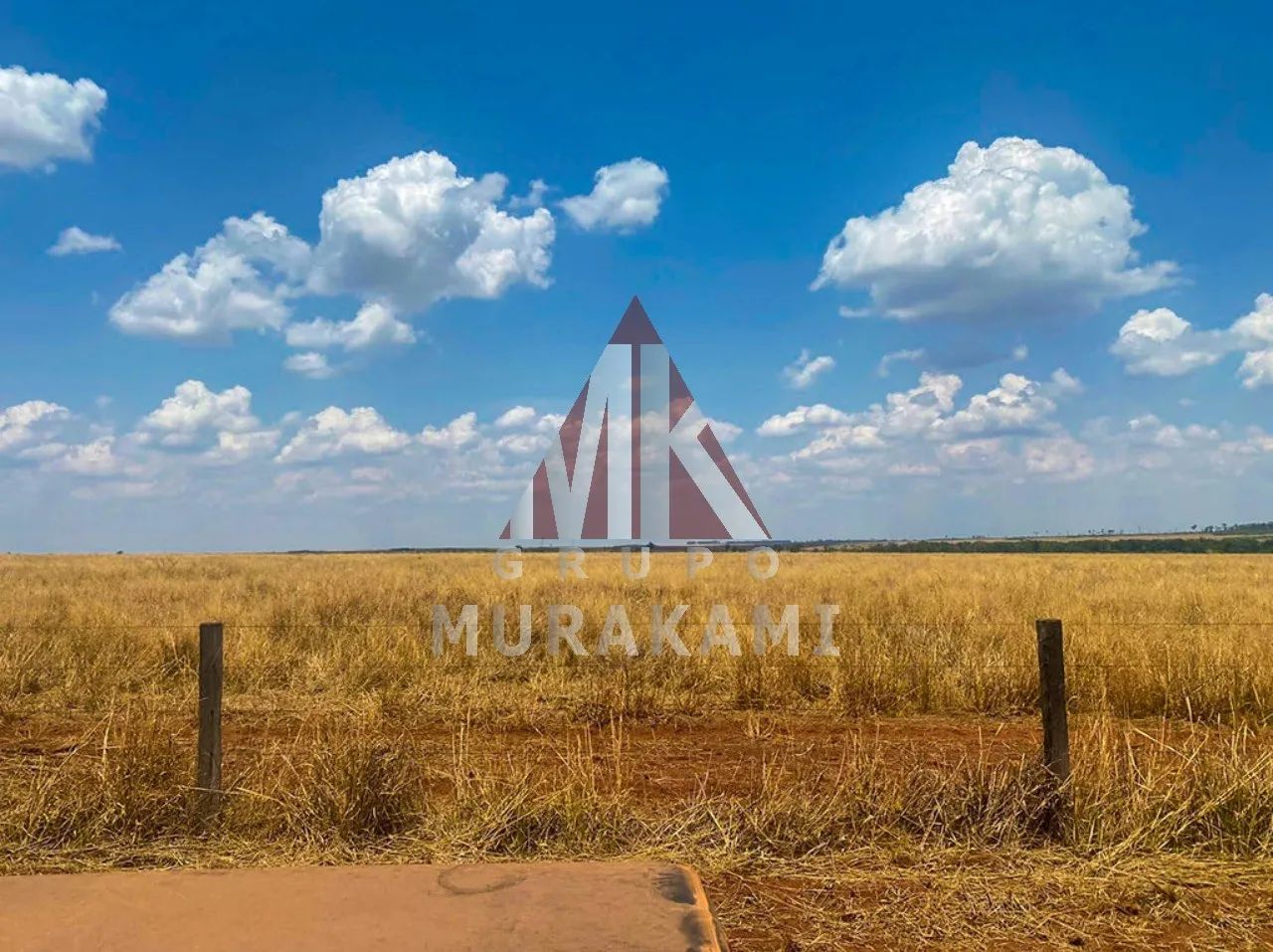 FAZENDA - PARANATINGA - MATO GROSSO - Foto 3