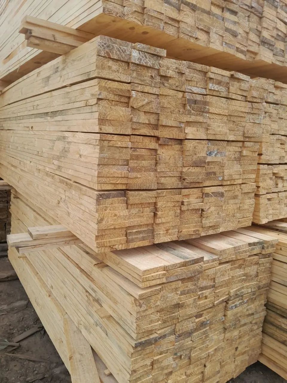 Tabua pinus 15 20 25 30 oferta  - Foto 2